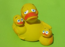 Canard de bain - maman