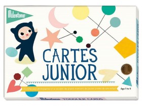 Cartes souvenirs Junior - Milestone